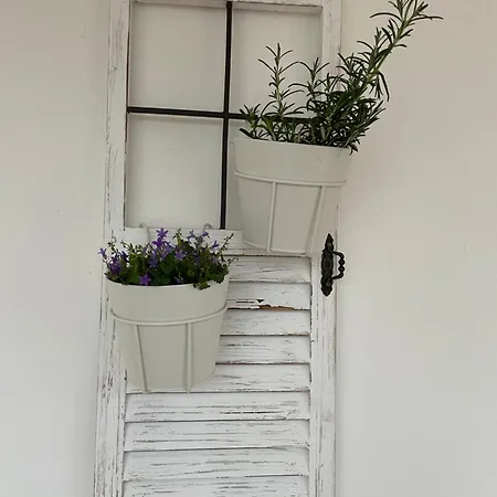 La Casa Di Michela *