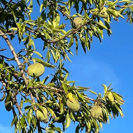 La Casa Di Michela Feriehus Torino di Sangro