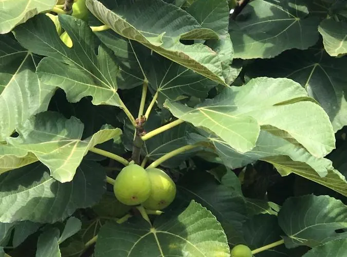 Holiday home La Casa Di Michela *