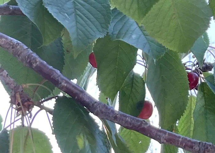 Holiday home La Casa Di Michela *