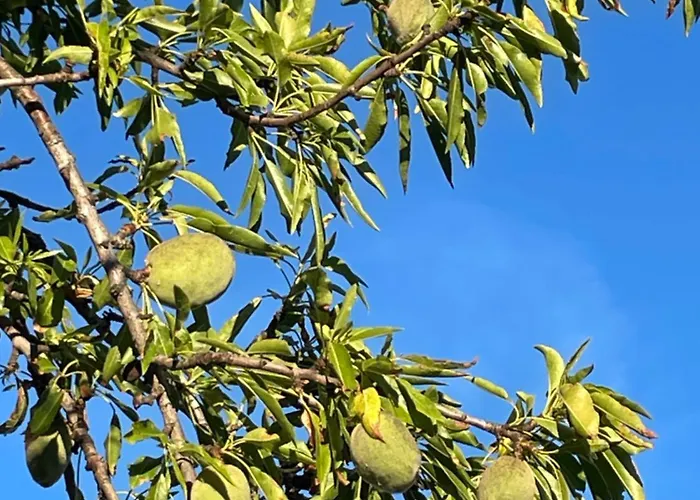 La Casa Di Michela Holiday home Torino di Sangro
